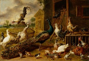 Baromfifarm, 1650